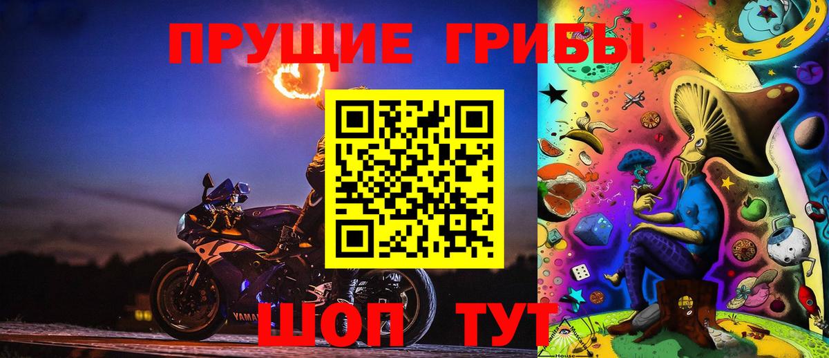 Псилоцибиновые грибы Psilocybe Семилуки