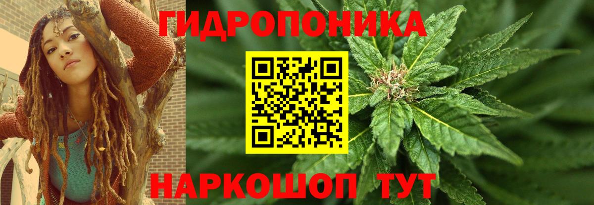 Бошки Шишки сатива  Вход с VPN  Бошки марихуана планчик  Бошки марихуана Bruce Banner  Семилуки 